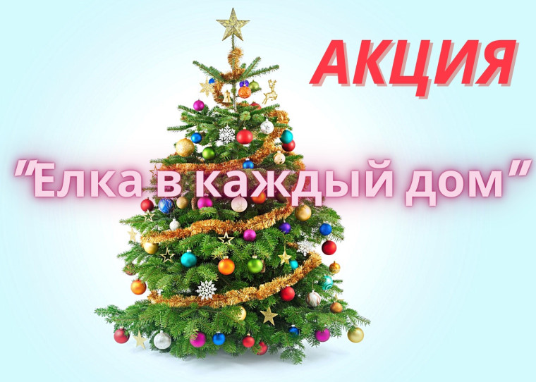 "Елка в каждый дом".